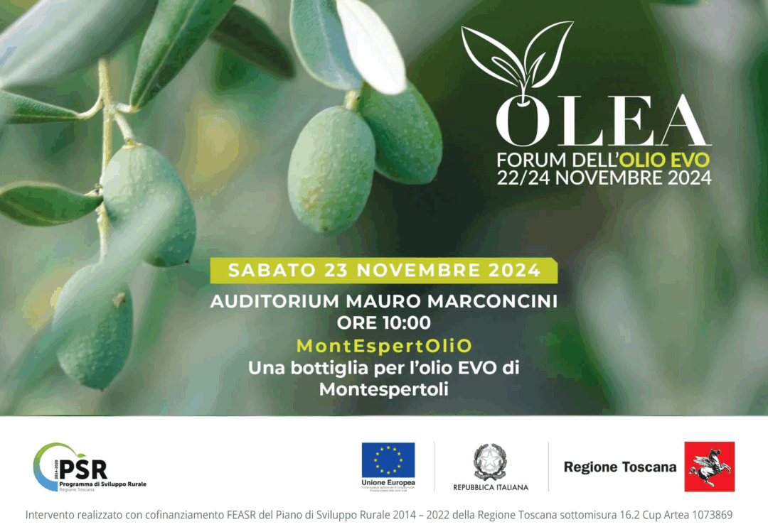 Olea 2024