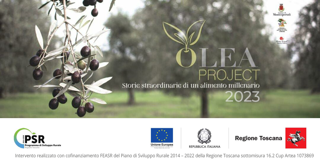 Olea 2023