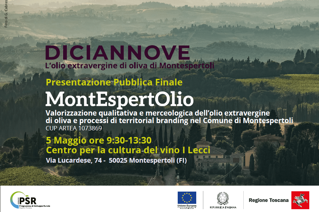 Presentazione pubblica finale