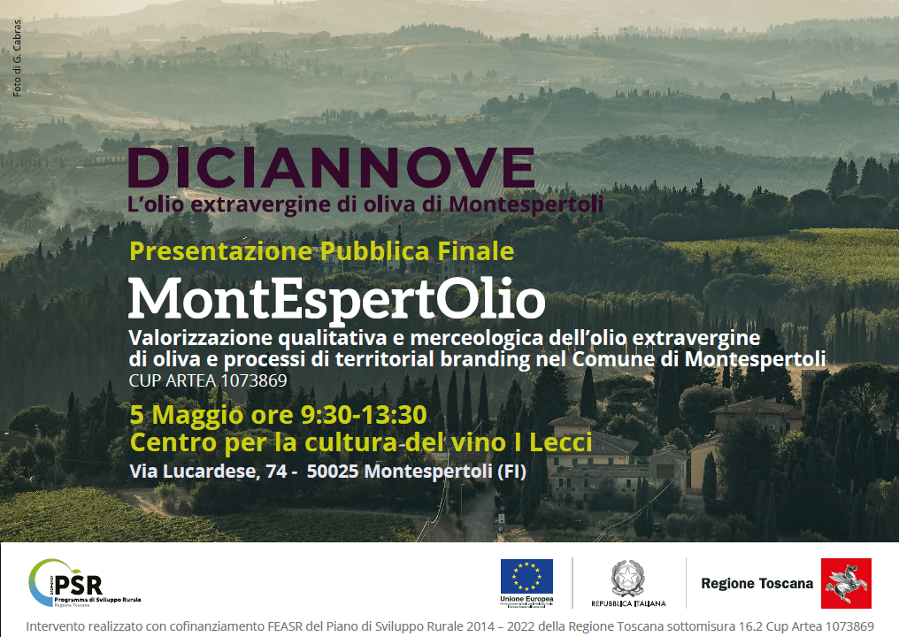 Presentazione pubblica finale